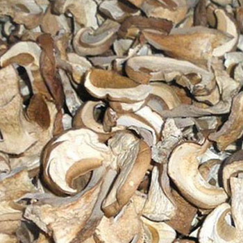 Séchage: cuire des champignons à la maison