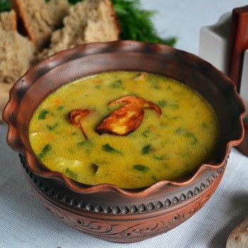 Premiers plats aux champignons: recettes avec photos