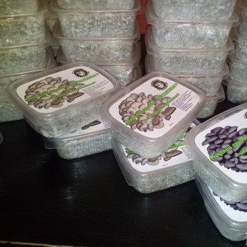 Mycélium de céréales et substrat pour la culture de champignons