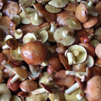 Comment nettoyer rapidement l'huile avec du vinaigre: des méthodes simples