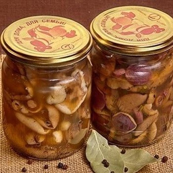 Maslata à l'ail: recettes pour l'hiver