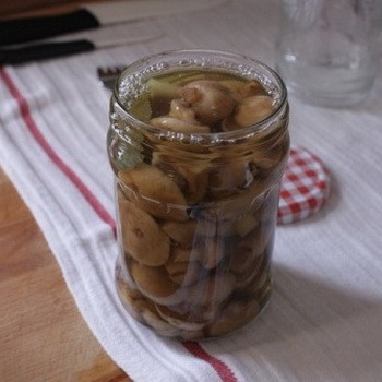 Champignons à l'huile pour l'hiver dans les banques: façons de mariner les champignons