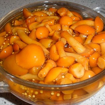 Dois-je nettoyer le petit beurre jeune?