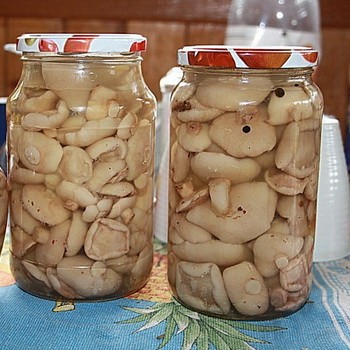 Beurre mariné à l'acide citrique: recettes pour l'hiver