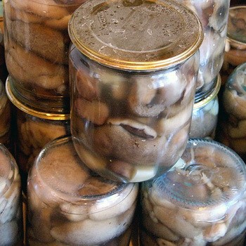 Beurre délicieux pour l'hiver: recettes de champignons