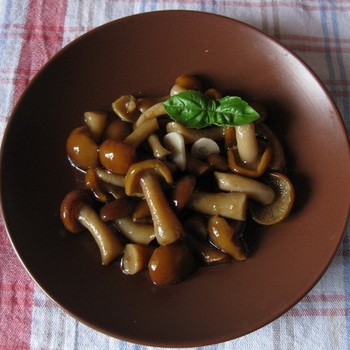 Recettes de salage chaud pour l'hiver chaud