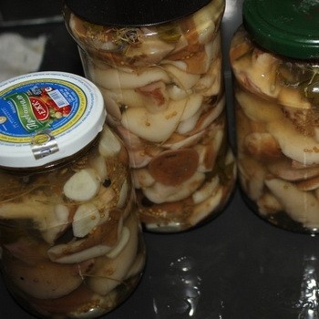 Huile dans huile: comment saler et mariner les champignons