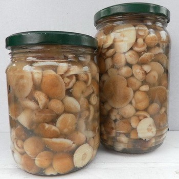 Façons de saler le beurre: recettes maison