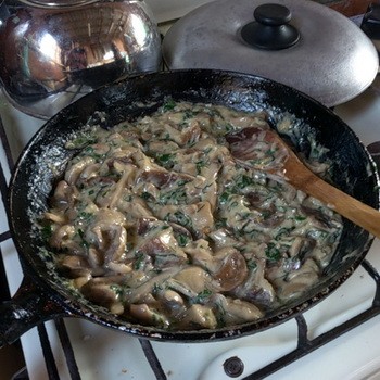 Beurre frit à la crème sure: recettes copieuses