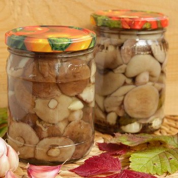 Beurre mariné au vinaigre: recettes pour l'hiver