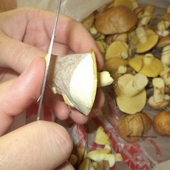 Comment nettoyer l'huile du film: des moyens rapides