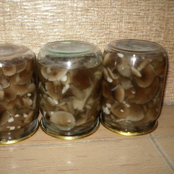 Beurre mariné pour l'hiver sans stérilisation: de délicieuses recettes