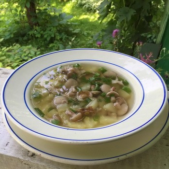 Potages au beurre: recettes de champignons frais et surgelés