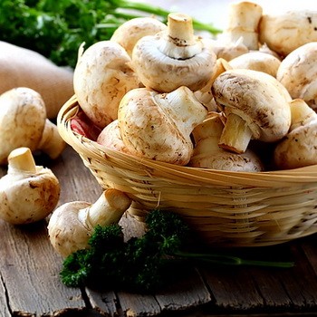 Les avantages et les inconvénients des champignons pour le corps humain