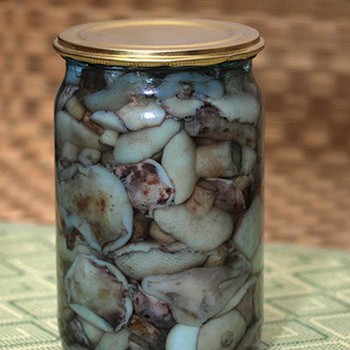 Mariner le beurre pour l'hiver: les moyens les plus simples