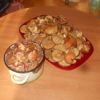 Cuisson du beurre mariné: recettes pour l'hiver