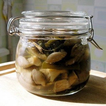 Comment conserver les pleurotes pour l'hiver à la maison