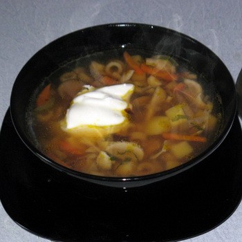 Cuisses de pleurotes: recettes de cuisine