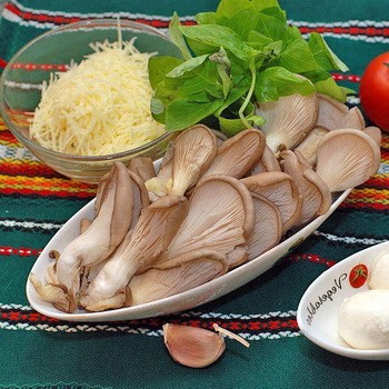 Que faire avec les pleurotes: recettes avec photos