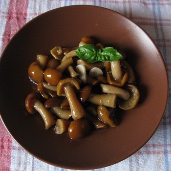 Champignons au miel marinés au vinaigre de cidre: recettes apéritives