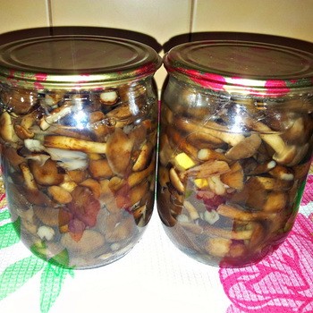 Est-il nécessaire de stériliser les champignons marinés et frits