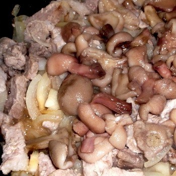 Ragoût de viande aux champignons au four, à la mijoteuse ou au chaudron