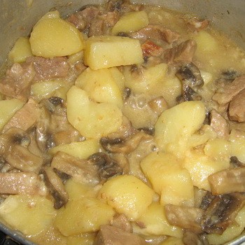 Premier et deuxième plats de pommes de terre et champignons