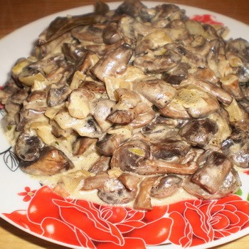 Champignons au miel avec mayonnaise: recettes de champignons