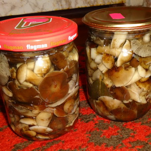 Champignons royaux marinés: recettes de recettes