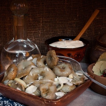 Champignons marinés: recettes de préparations hivernales