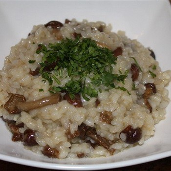 Riz aux champignons de miel: recettes de champignons