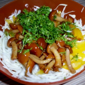 Champignons au miel avec poitrine de poulet: recettes de champignons