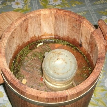 Comment saler les champignons de miel sous l'oppression: recettes pour l'hiver