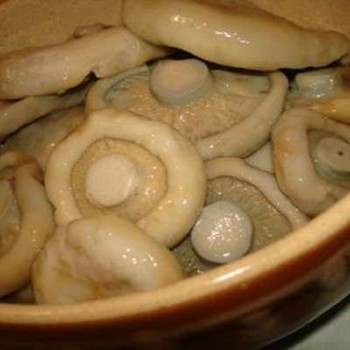 Comment mariner un champignon: recette avec des photos de champignons marinés et vidéo