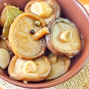 Pickles recettes aux champignons (avec vidéo)