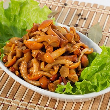 Champignons au miel avec de l'acide citrique pour l'hiver: recettes de marinage et de salage