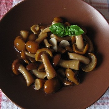 Comment décaper les champignons de chanvre: recettes d'hiver