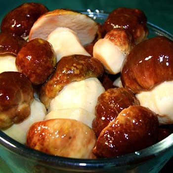 Comment mariner les champignons porcini sans stérilisation