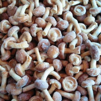 Comment congeler des champignons pour l'hiver