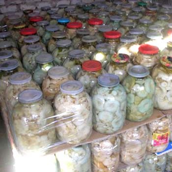 Comment conserver le lait salé à la maison