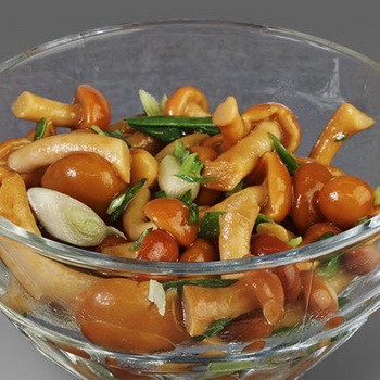 Recettes de champignons salés de la manière la plus simple