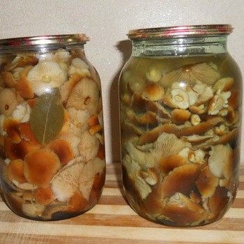 Champignons en conserve sans vinaigre: recettes pour l'hiver