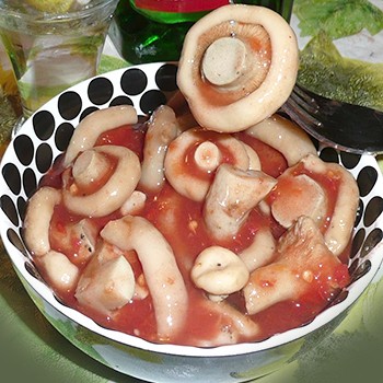 Comment faire cuire les champignons à la tomate