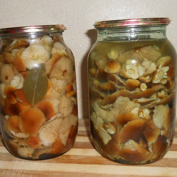 Champignons salés dans des bocaux: des recettes rapides et savoureuses