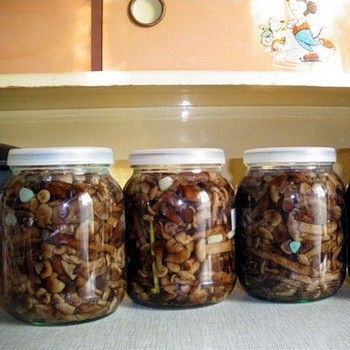 Salage de champignons d'automne: recettes d'hiver