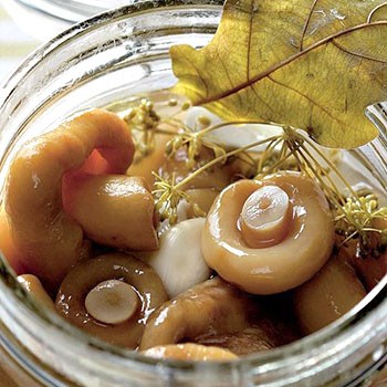 Comment saler soi-même les cornichons dans une casserole