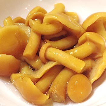 Champignons au miel marinés: recettes de recettes d'hiver