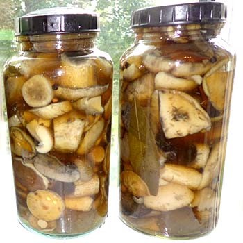 Comment fermer les seins pour l'hiver (avec vidéo)