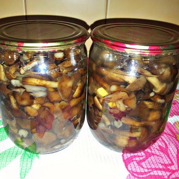 Champignons au miel pour l'hiver: recettes de préparation aux champignons