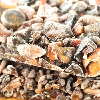 Congélation et stockage des cèpes au réfrigérateur